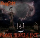 Picture for song 'FOLLOW ME!!!!!' by artist 'BIGG PITT'