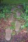 Picture for song '(I'm Not Your) Stepping Stone' by artist 'Bill Cannon'