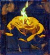 Picture for song 'Burning Rose' by artist 'Bjorn.Nilsen'