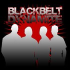 Picture for song 'Slammin' The Door' by artist 'Blackbelt Dynamite'