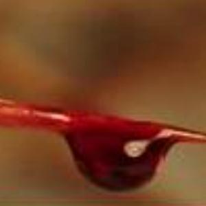 Picture for song 'PRECIOUS BLOOD LITANY OF THE BLESSED VIRGIN MARYAM' by artist 'BLACK CATHOLIC GOSPEL'