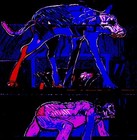 Picture for song 'Stalker' by artist 'Black Chamber'