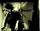 Picture for song 'dying cinder (live 08.10.07 nyc)' by artist 'black eyed beauty'