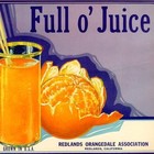 Picture for song 'Fresh Pressed Juice (BLACKFROSTWHP.COM)' by artist 'Blackfrost of WHP'