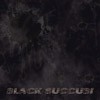 Picture for song 'Into Oblivion' by artist 'Black Succubi'