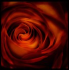 Picture for song 'Girlfriends ft. Lawlson' by artist 'BlazinFaze'