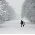 Picture for song 'Walk With Me' by artist 'BlazinFaze'