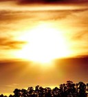 Picture for song 'Sunshine(Lease:$9.99Exclusive:$49.99)Free DL' by artist 'BlockBeaterz'