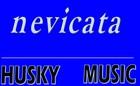 Picture for song 'Nevicata' by artist 'Boero Terlizzi'