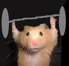 Picture for song 'DIGITAL HAMSTER--CHEMICAL COMBUSTIONS OF THE BRAIN' by artist 'Boxcars'