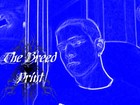 Picture for song 'Follow Me' by artist 'Br33D'
