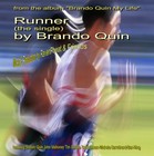 Picture for song 'Runner' by artist 'Brando Quin and RavenFeat'
