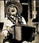 Picture for song 'Coola Boola' by artist 'Brendan Jewell'