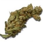 Picture for song 'blunted -- undun' by artist 'brent merc'