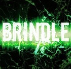 Picture for song '*NEW* Never Stoppin' FREE DL' by artist 'Brindle Instrumentals'