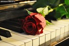 Picture for song 'Rose's At The Door - Distinct' by artist 'Buck Warren'
