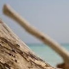 Picture for song 'Driftwood' by artist 'Burt Crow'