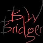 Picture for song 'Seasons Of Sadness' by artist 'BW Bridger'