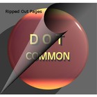 Picture for song 'Dot Common' by artist 'Cam7Song'