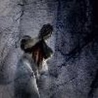 Picture for song 'Flesh' by artist 'Cancer Stick'