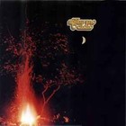 Picture for song 'Amazonas' by artist 'Capitan Aguirre - Bass Player'