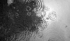 Picture for song 'Rainy Tuesday Jam' by artist 'Carlo D'Anna'