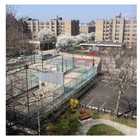 Picture for song 'Round Here' by artist 'Casino On The Beats'