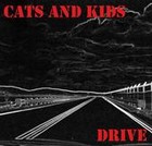 Picture for song 'Drive' by artist 'Cats and Kids'