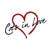Picture for song 'Out Again' by artist 'Cats in Love'