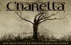 Picture for song 'So Convincing' by artist 'CHARETTA'