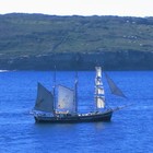 Picture for song 'Goodbye lover' by artist 'Charles Cornelius Tyler'