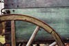 Picture for song 'From Forest to Meadow to Stream' by artist 'Chaucer Wells'