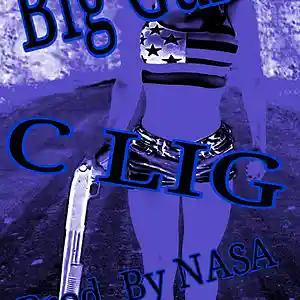 Picture for song 'BIG GUNS' by artist 'C Lig'