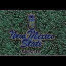 Picture for song 'I'M HOT (CHOPPED & SCREWED)' by artist 'Tha Bizznizz'