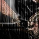 Picture for song 'the dreamer' by artist 'Code XI'