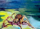Picture for song 'Arachnid' by artist 'Combustion (UK)'