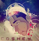 Picture for song 'Beach Run' by artist 'Coshey'