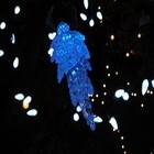 Picture for song 'Merry Mischievery' by artist 'Cosmic Sector 5'