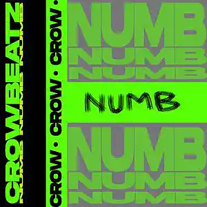 Picture for song 'numb' by artist 'CrowBeatz'