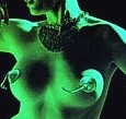 Picture for song 'Baila Guajira' by artist 'Cuatro Mundo'