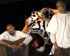 Picture for song 'Chillin In Da Cut!' by artist 'DaGSPros'