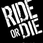Picture for song 'Ride Or Die' by artist 'Damie Muzick'