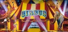 Picture for song 'the circus.mp3' by artist 'Dave Gee 2001'