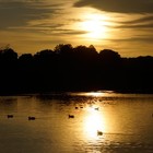 Picture for song 'The Last Rays of Summer - with Armen Grigoryan' by artist 'David Kilpatrick'