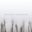 Picture for song 'Love Isn't Wasted' by artist 'David Krystal'