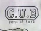 Picture for song 'C.U.B CYPHER FREESTYLE (2009)' by artist 'D.Boy (theeCitySlicker)'