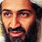 Picture for song 'Osama - Beard = Obama' by artist 'Deadly Earnest'