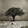 Picture for song 'Let the Winds Blow' by artist 'Deb Rempel'