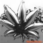 Picture for song 'Runnin Out of Time (Feat. Krazy C)' by artist 'Delinqncy'