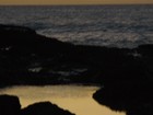 Picture for song 'i could never fall in love again' by artist 'denis (anguilla)'